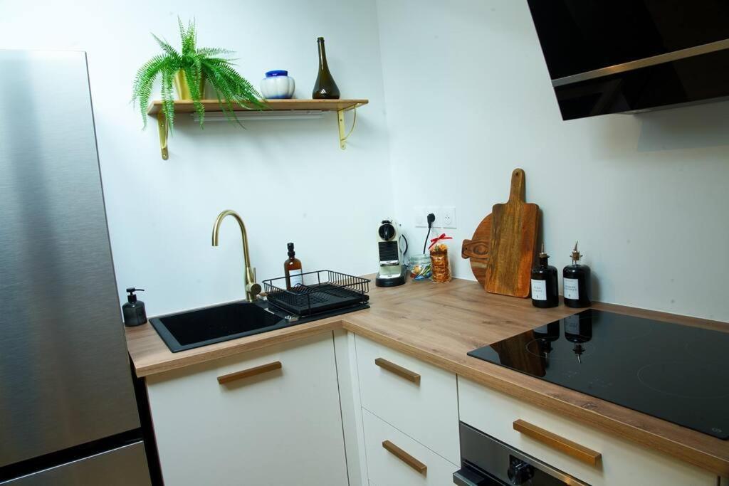 Appartement De Charme A น็องซี ภายนอก รูปภาพ