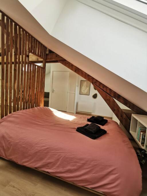 Appartement De Charme A น็องซี ภายนอก รูปภาพ